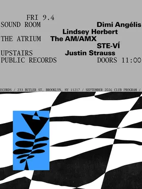 Dimi Angélis, Lindsey Herbert / The AM/AMX, STE-VÍ / Justin Strauss at public records flyer