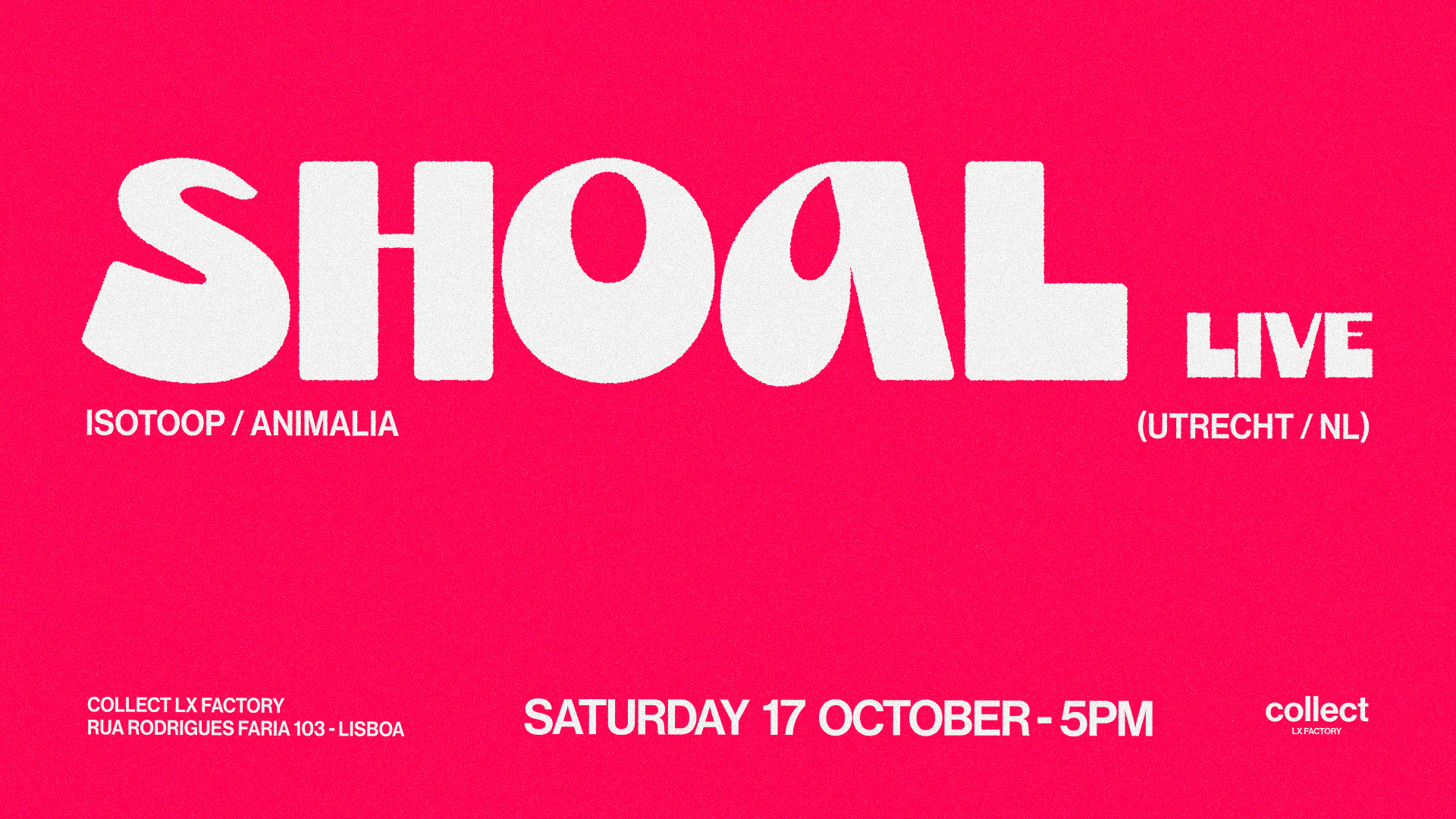 Collect LX Factory presents Shoal (live) at Collect LX Factory flyer