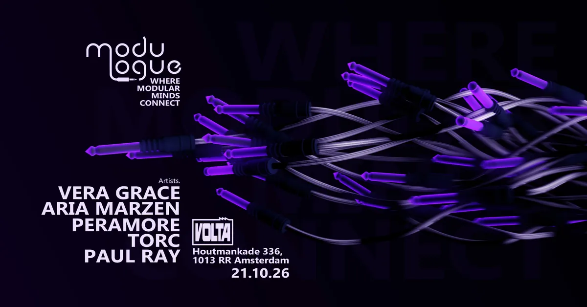 Modulogue at Volta flyer