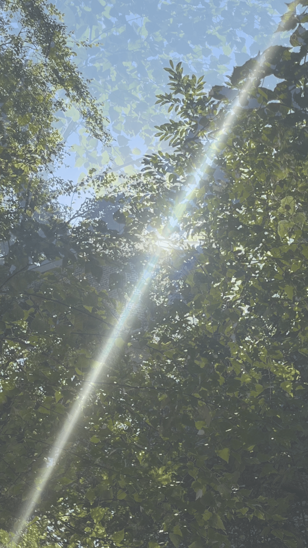 afternoon interlude: Nico Borgio at dubble flyer