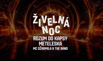 ŽIVELNÁ NOC & ZÁVIŠ VE SKLEPĚ at Cross Club flyer