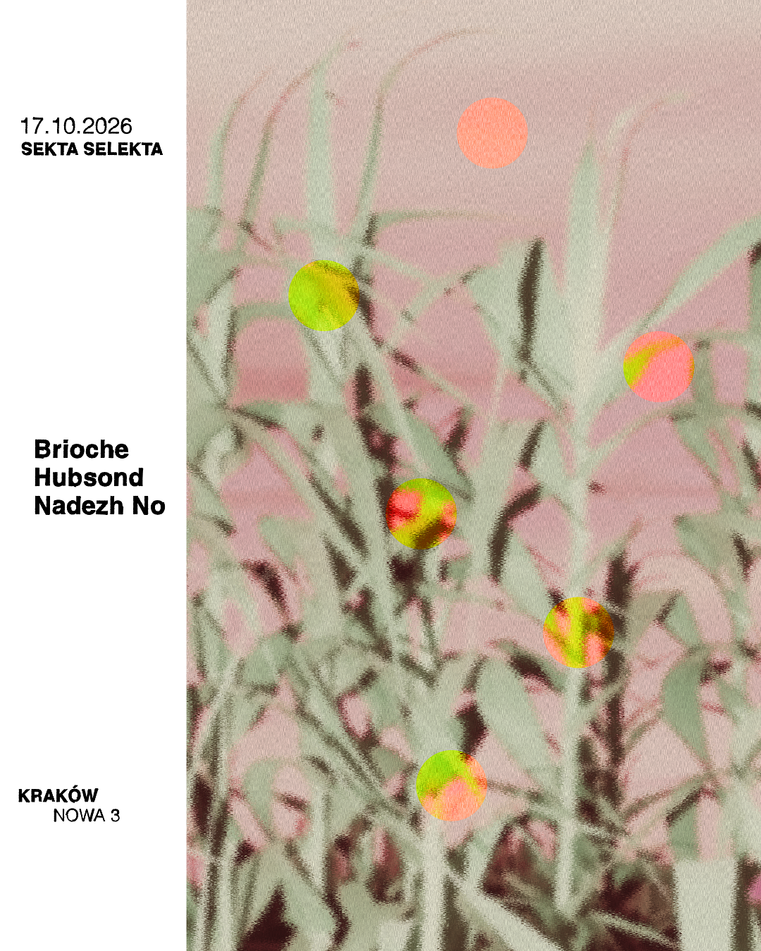 Sekta Selekta: Brioche, Hubsond, Nadezh No at Sekta Selekta flyer