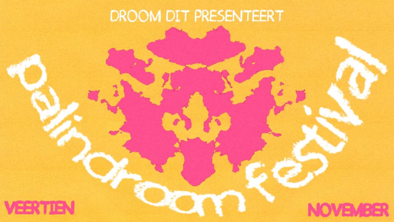 PALINDROOM FESTIVAL at Skatecafe flyer