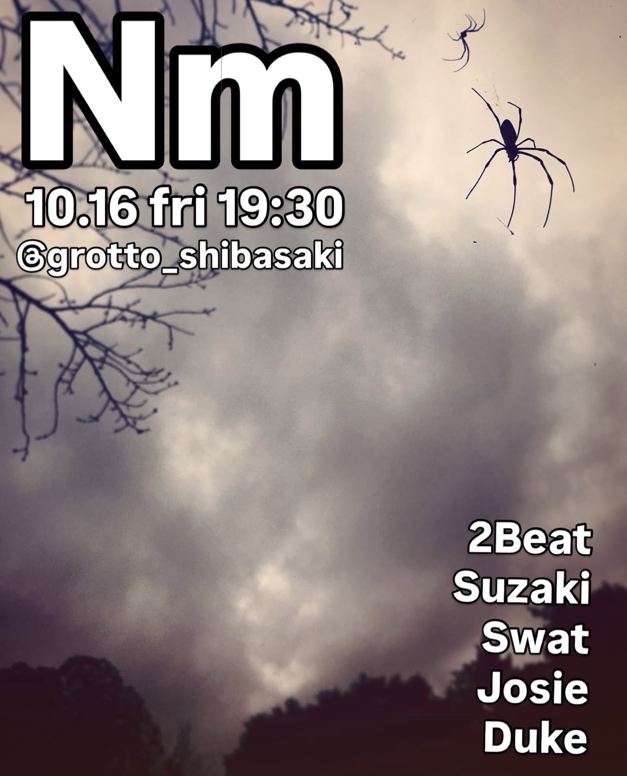 Nm（ニュートンメーター） at Grotto_shibasaki flyer